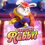 Fortune Rabbit