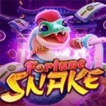 Fortune Snake