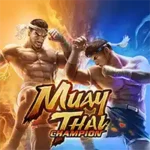 Muay Thai Champion