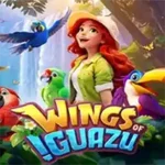 Wings of Iguazu